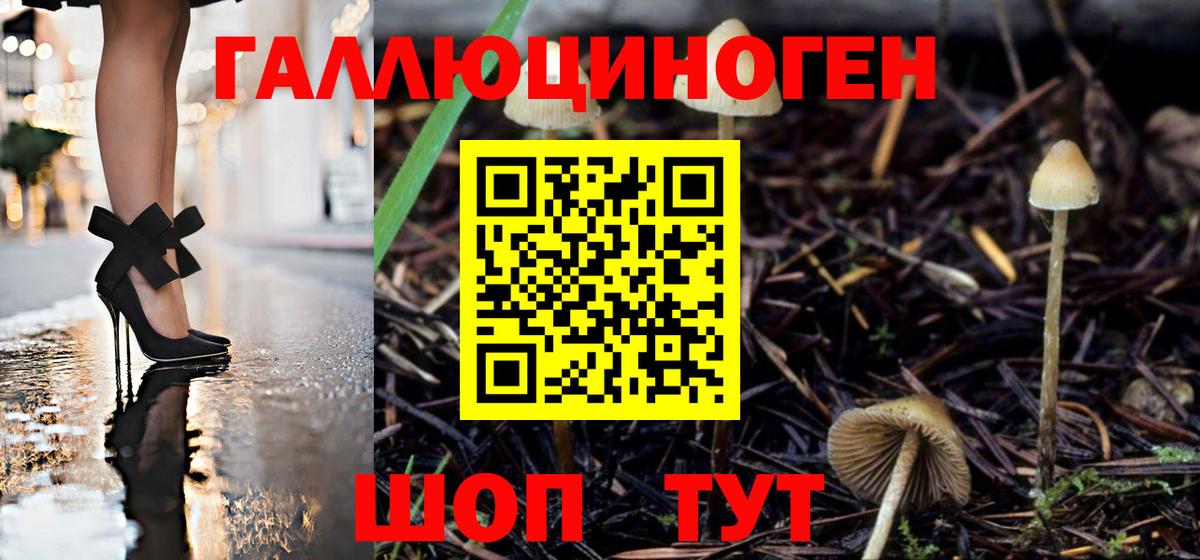 Псилоцибиновые грибы прущие грибы Якутск