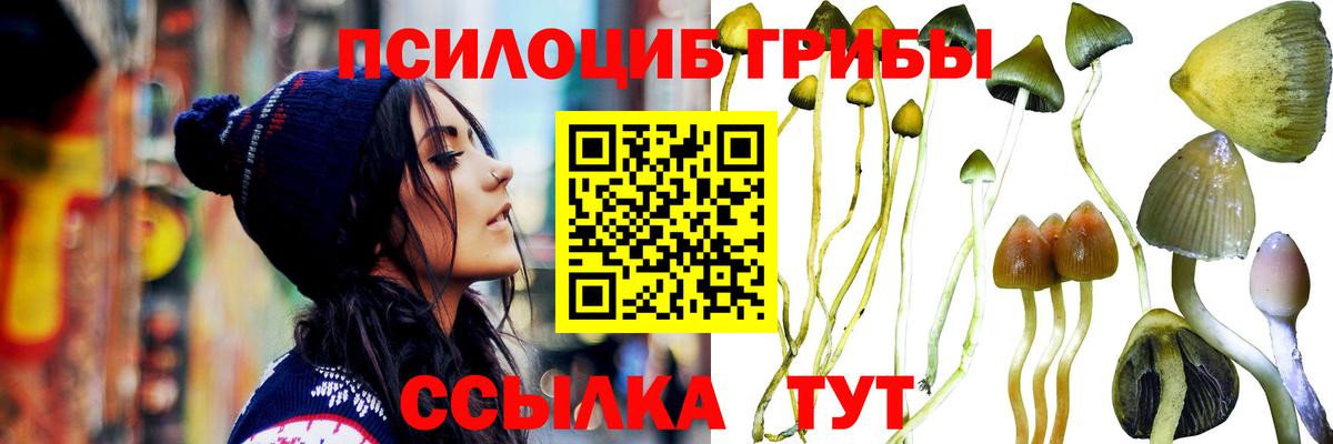 Псилоцибиновые грибы Psilocybe  Вход с VPN  Галлюциногенные грибы GOLDEN TEACHER  Якутск 